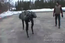http://reho.st/1.bp.blogspot.com/-7XpdZXEMdUs/UWFVYEwV-RI/AAAAAAAALMc/DGDiGs75YvU/s1600/big-dog.gif