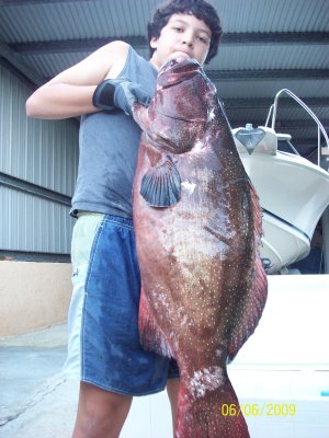 http://reho.st/2.bp.blogspot.com/_dzaAw__aoAU/SiokCDbpQHI/AAAAAAAAAKs/-pXF0tlHsSM/s400/saumon%C3%A9e+g%C3%A9ante+de+13.6+kilos+006.jpg
