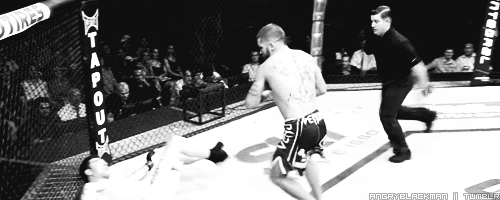 http://reho.st/24.media.tumblr.com/d5afb76788d1b12c832e992620dd634e/tumblr_mw1pbp0IlO1qfrkf9o2_500.gif