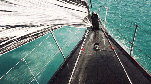 http://reho.st/25.media.tumblr.com/tumblr_lxy19yeAJJ1qzcq51o1_r1_500.gif