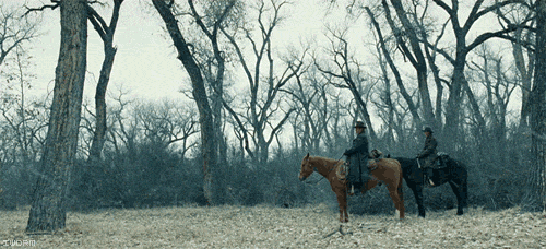 http://reho.st/27.media.tumblr.com/tumblr_loktfjVNF91qe0eclo1_r6_500.gif