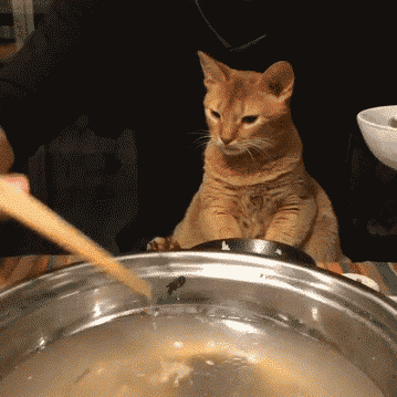 http://reho.st/31.media.tumblr.com/326b2a23f222a955c92316abdc8f82e8/tumblr_neqb1fHkrl1qixslso1_400.gif