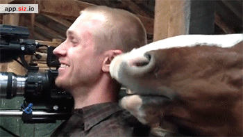 http://reho.st/31.media.tumblr.com/9b4a9acf0ccf7ab24128c1ab81990d17/tumblr_nhutm3fwuE1rc7zl1o2_400.gif