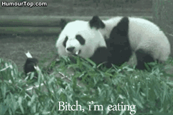 http://reho.st/31.media.tumblr.com/cc34cd10906a73707447ee4afece8dec/tumblr_my2d4m0nRh1s080geo4_250.gif