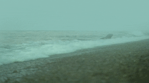 http://reho.st/31.media.tumblr.com/tumblr_lojb7jO1x91qg39ewo1_500.gif