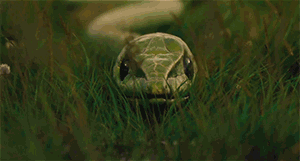 http://reho.st/33.media.tumblr.com/112fe195fdae1e85c6d50afa114602a7/tumblr_nazt12mWZ11qzab0no1_400.gif
