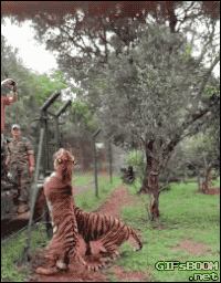 http://reho.st/33.media.tumblr.com/124d6793ec16d84af57825815ca59bf6/tumblr_nhhnpcURI81s02vreo1_250.gif