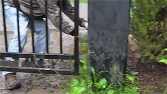 http://reho.st/33.media.tumblr.com/432e03a5ee2196c3b110b951d6ad3d32/tumblr_n6l7vqoHQV1rc7zl1o5_400.gif
