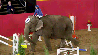 http://reho.st/33.media.tumblr.com/53668d2127ce00e492610d26fcdec4ea/tumblr_my1ya4VvZy1qe2thio1_400.gif
