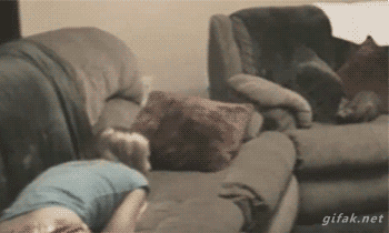 http://reho.st/33.media.tumblr.com/dc3e8e035e75cf42551b723d6bc968e9/tumblr_nhuy9xfaiQ1s2yegdo1_400.gif