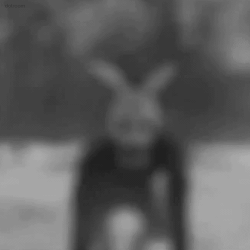 http://reho.st/33.media.tumblr.com/dd44a3c98f5d0df3203d6643f0bd577f/tumblr_ncsh01RTh31rsxqqio1_500.gif
