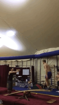 http://reho.st/33.media.tumblr.com/dd79a1aa7afbd936558e2276004fb4a8/tumblr_mxjp4o9Ih51qljj91o1_250.gif