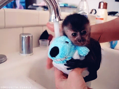 http://reho.st/38.media.tumblr.com/4cbe3bd5862159a8538819ba7263a6ae/tumblr_n4nbilK88Y1s397qyo1_400.gif