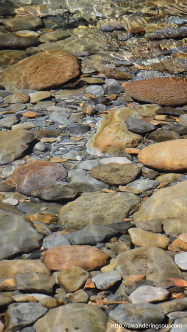 http://reho.st/38.media.tumblr.com/5e5c5618630cd03f173ac0a85fd1bc23/tumblr_n8bdmujIg61r2kyjno1_500.gif