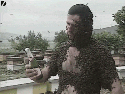 http://reho.st/38.media.tumblr.com/72dbc90a577f490f269466e3880ab5f8/tumblr_mjgmy4I9FO1qam8b5o1_400.gif