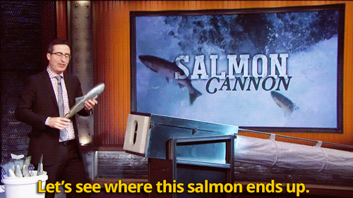 http://reho.st/38.media.tumblr.com/7d8592360ae0990f484c1afcb33cb1f4/tumblr_netj0j4wlT1qc8jh0o5_500.gif
