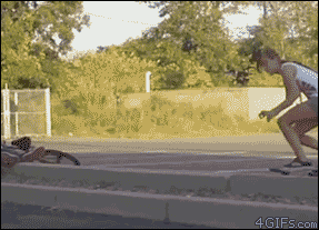 http://reho.st/38.media.tumblr.com/d0a97e19e257b5f35fe6328bde771dfe/tumblr_mokpxvV2eP1sw5ql6o1_400.gif