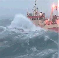 http://reho.st/38.media.tumblr.com/d6c714040cb36d356cd93ab734d148a9/tumblr_ms1eckFy6O1r22d6wo1_250.gif