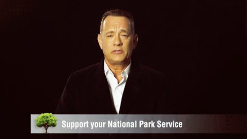 http://reho.st/38.media.tumblr.com/f8e72eb9b531a5901890b07377cf9e0e/tumblr_netj0j4wlT1qc8jh0o2_500.gif