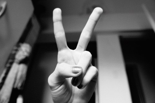 http://reho.st/49.media.tumblr.com/6fe261c03ec2f483a9a7fd1bade34622/tumblr_mz1oh8Vc8L1tokbqho1_500.gif