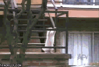 http://reho.st/68.media.tumblr.com/6acceba9f6d5b8f23fbcc6130aeda272/tumblr_o7uig8gs7i1v1frjoo1_400.gif
