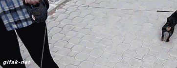http://reho.st/68.media.tumblr.com/6c5b6fe836fa3aeaf5db58c3a94a27d1/tumblr_otmpc6Zz1v1rir0h2o1_400.gif