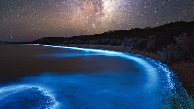 http://reho.st/cdn.newsapi.com.au/image/v1/c1344c5bbe1c2d02fe6f345d2cc813c2