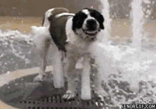 http://reho.st/chzgifs.files.wordpress.com/2010/12/bathtimep1.gif