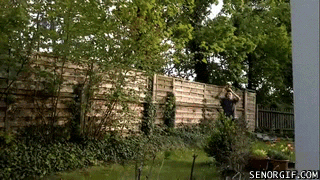 http://reho.st/chzgifs.files.wordpress.com/2011/04/5f6930f8-2911-4692-8258-26be885ec86c.gif
