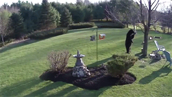 http://reho.st/gif/0273a523b283246f1048d86186133ee68f155c53.gif