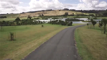 http://reho.st/gif/047c75d80e1d58609d381a9fba92f7e37b925eeb.gif