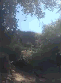 http://reho.st/gif/04889c50cebe13a801a3ed9038b5b2a8a6351bda.gif