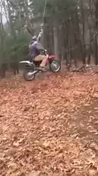 http://reho.st/gif/04f6121f5e548e1d5ab9191ba5f533de35ecb0b2.gif