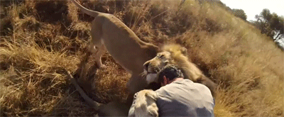 http://reho.st/gif/0578f78f4d65378e0c44f6f93bc346f15a3eff47.gif