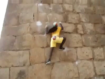 http://reho.st/gif/07e86e89541b259af5eb255aeb79a1de088e7a0e.gif