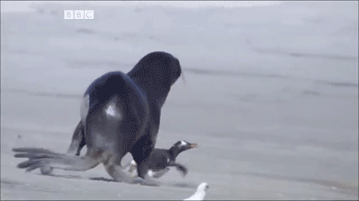 http://reho.st/gif/0bc87db107fd0a082cedb25761270daba273634e.gif