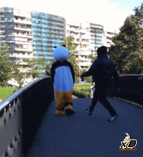 http://reho.st/gif/0c291fe6b0962a523357e577654694e16c72e92d.gif
