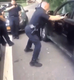 http://reho.st/gif/0d9db718b211bdefa38ac2634b4c4c28b7900b43.gif