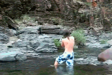 http://reho.st/gif/0fbd2907bcd560754a1dfa034cb42090d1085ba2.gif