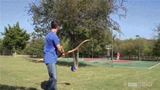 http://reho.st/gif/111618c84edf24514a60eb00795be43045821125.gif