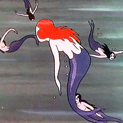http://reho.st/gif/11a13c021defdae30183729f4a89242763f02829.gif