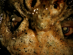http://reho.st/gif/120b9c921fb44a87b2f03f1d61ab6d6af23b045e.gif