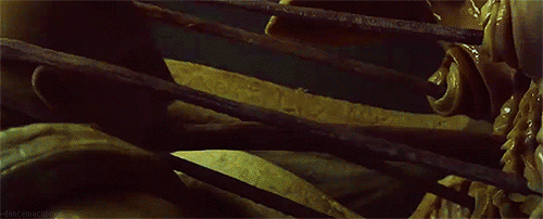 http://reho.st/gif/14e170eba0f80ba68fada62f57bdcb0ad7ca6960.gif