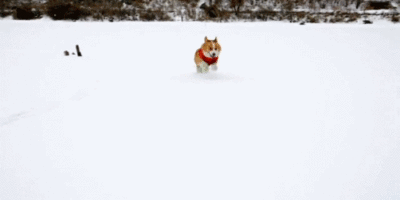 http://reho.st/gif/164b0bd5616633e21601e1a6145b18d02430c189.gif