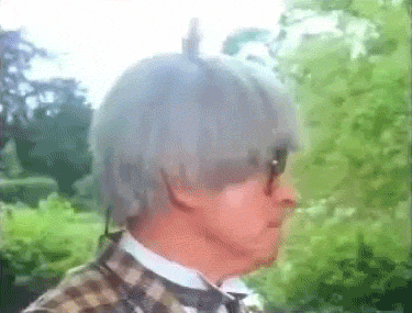 http://reho.st/gif/17631284a078ee2727f36af0580719416a52232c.gif