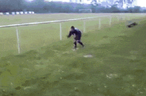 http://reho.st/gif/1a10c804e87892738d6f04eb74c60d79db0ae7c1.gif