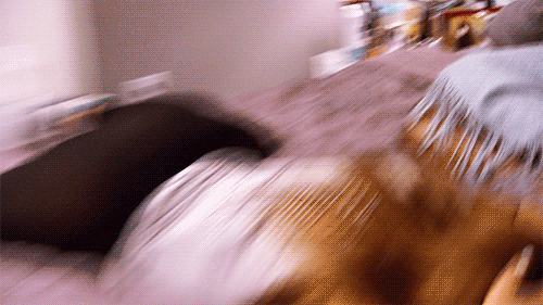 http://reho.st/gif/1bb99f6087fa5b59b47f4b7eb26279df4b2d2a0c.gif