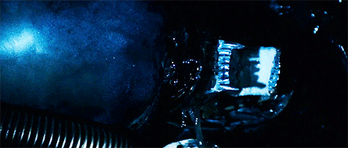 http://reho.st/gif/1c1bf105326f68f52c2f2adaea55aeba676aac42.gif