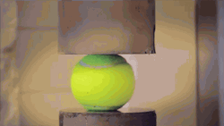 http://reho.st/gif/1ffc229c4989db334421a7ca4a3c49846e783d9c.gif