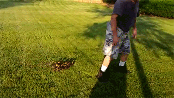 http://reho.st/gif/20736be3729ac83baca62854cd7d8df13826df8a.gif